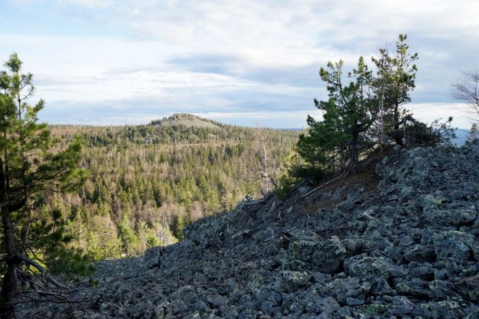 Visimsky Biosphere Reserve