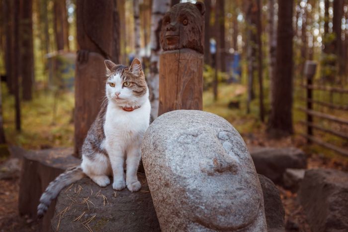Historical and Ethnographic Park "Land of Ancestors"