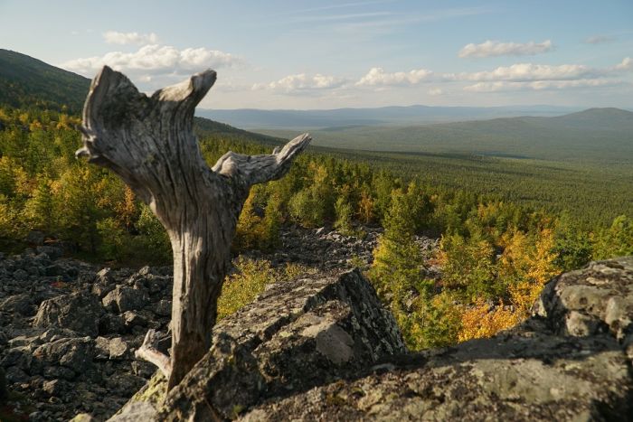 Nature Reserve "Denezhkin Kamen"